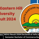 NEHU Result 2024 Declared at nehu.ac.in – Check 4th Semester Bachelor of Commerce Exam Result Here